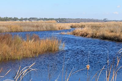 Gulf State Park