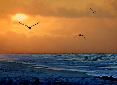 Michael Thomas Photography