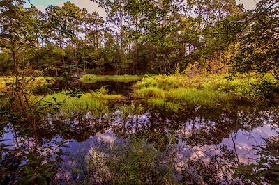 Michael Thomas Photography