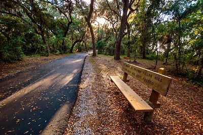 Michael Thomas Photography