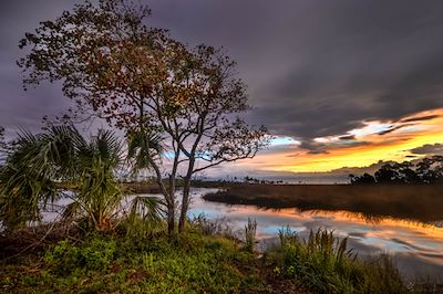 Michael Thomas Photography