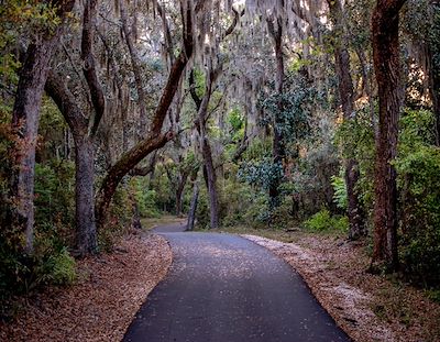 Michael Thomas Photography