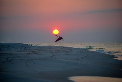 Michael Thomas Photography