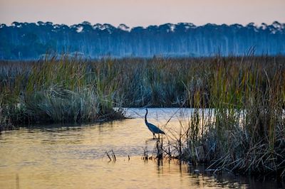 Michael Thomas Photography