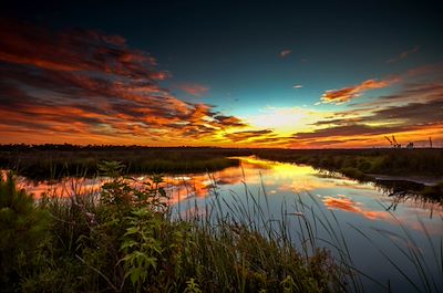 Michael Thomas Photography