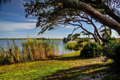 Michael Thomas Photography