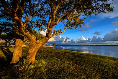 Michael Thomas Photography