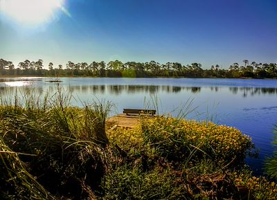 Michael Thomas Photography