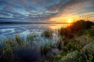 Michael Thomas Photography