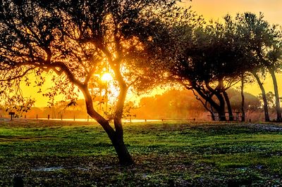 Michael Thomas Photography