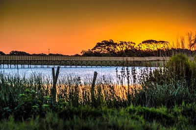Michael Thomas Photography