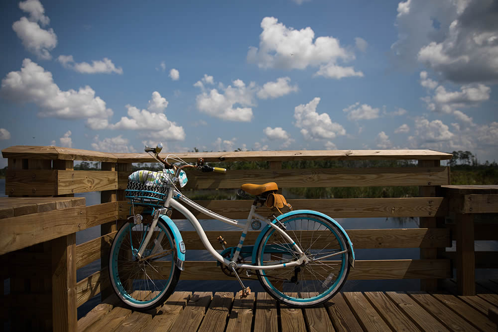 bicycle on Gulf State Park trail.